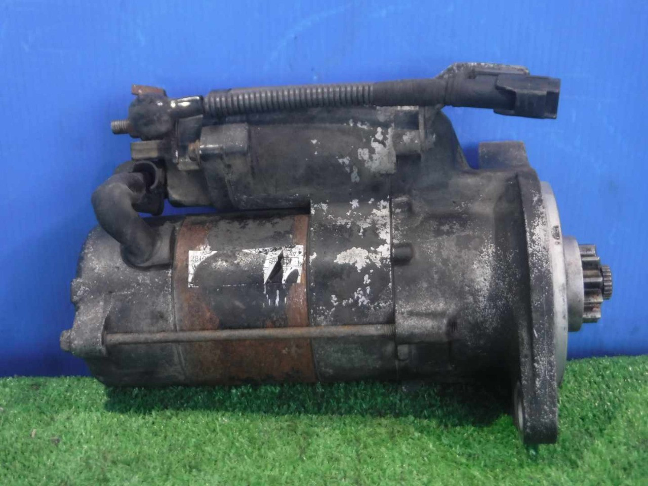 写真